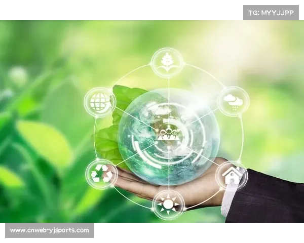 专家评WNBA发展关键：构建可持续的球员保障生态